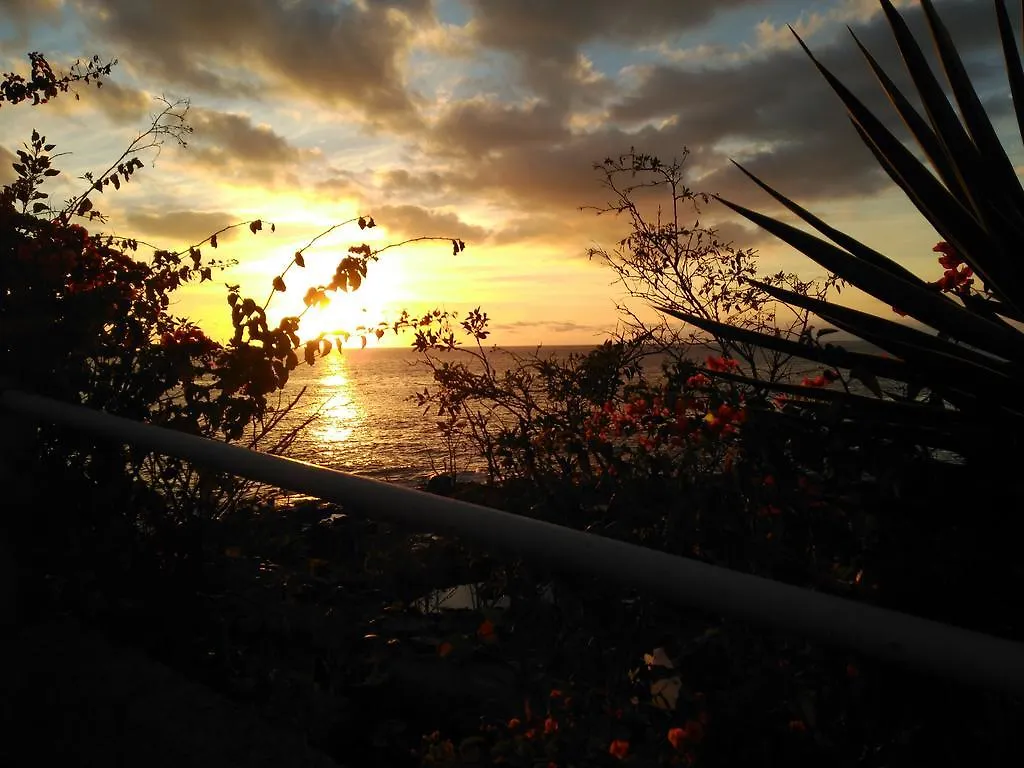 Rita'S House Of The Sun Apartment Los Cristianos  Spain